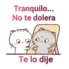 gatitos 8