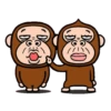 Monkey combination 7