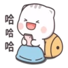 貓小醬 7 5