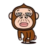 Monkey combination 8
