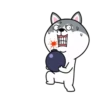 dynamic dog 14
