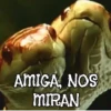 ANIMALITOS1MOV 12