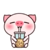 ️Pig daily life  MOV 10