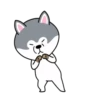 dynamic dog 15
