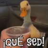 ANIMALITOS1MOV 13