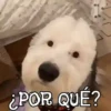 ANIMALITOS1MOV 14