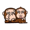 Monkey combination 9