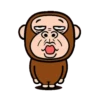 Monkey combination 10