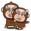 Monkey combination 11