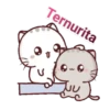 gatitos 12