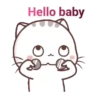 gatitos 13