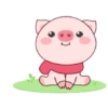 ️Pig daily life  MOV 13