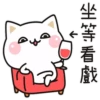 愛挑釁的貓貓 15