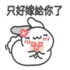 咖波與兔兔扭扭扭 14