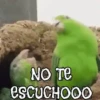 ANIMALITOS1MOV 16