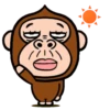 Monkey combination 13