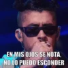 Bad Bunny Mov 24