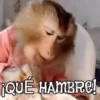 ANIMALITOS1MOV 18