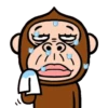 Monkey combination 15