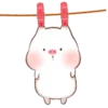 ️Pig gordo2  MOV 8