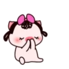 ️Pig daily life  MOV 14