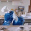 Monstruo Comegalletas 12