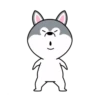 dynamic dog 21