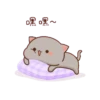 Mochi peach cat II 20