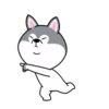 dynamic dog 22