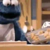 Monstruo Comegalletas 13