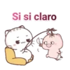gatitos 16