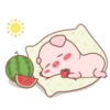️Pig daily life  MOV 15