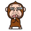 Monkey combination 17