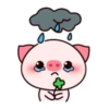 ️Pig daily life  MOV 16
