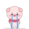 ️Pig daily life  MOV 17