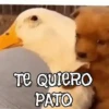 ANIMALITOS1MOV 21