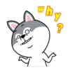 dynamic dog 23