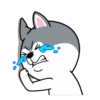 dynamic dog 24