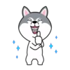 dynamic dog 26