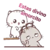 gatitos 19