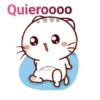 gatitos 20