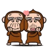 Monkey combination 20