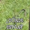 ANIMALITOS1MOV 23