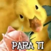 ANIMALITOS1MOV 24