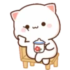 Mochi 23