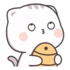 貓小醬 7 15