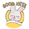 PaInTeR BuNnY 19