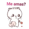 gatitos 22