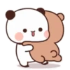 panda bear 16