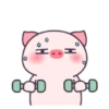 ️Pig daily life  MOV 22